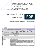 Plan Micro Curricular Por Bloque CCNN 10mo Va Tercero