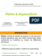 Pêche Et Aquaculture 20 - 21