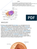 Nucleu