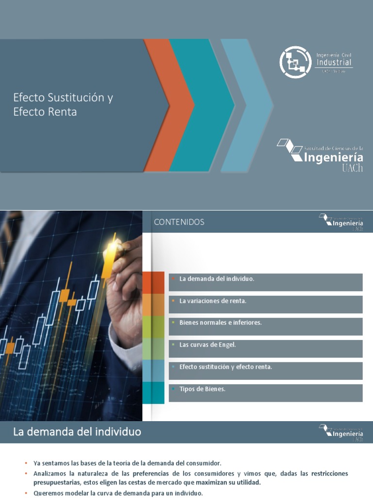 7 - Efecto Sustitucion y Efecto Renta | PDF | Curva de demanda | Utilidad