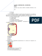 BIOLOGÍA REPASO 03 CIRCULACIÓN - RESPIRACIÓN - EXCRECIÓN - COORDINACIÓN QUÍMICA Listo