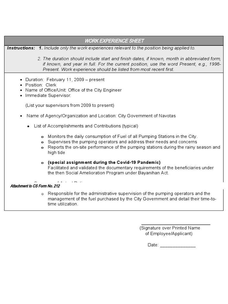 Csc Work Experience Sheet Downloadable Free