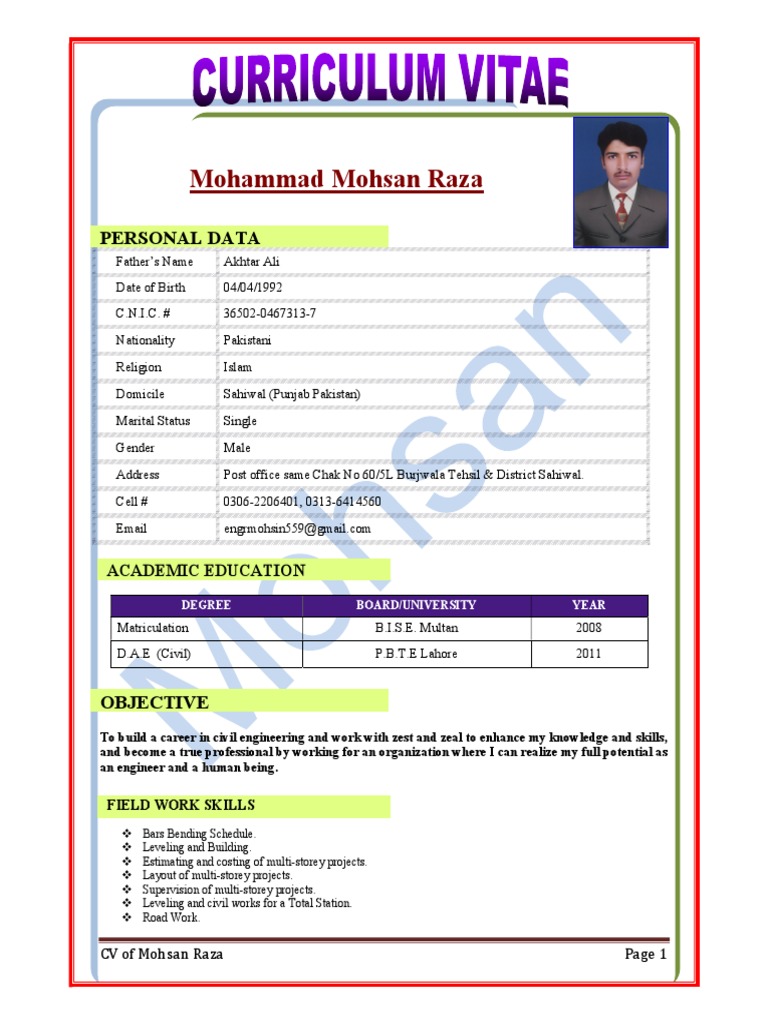 CV of Civil Engineer Mohsan Raza | PDF | Pakistan