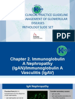 KDIGO Arkana Pathology Slide Set 2022 - KDIGO GD Guideline