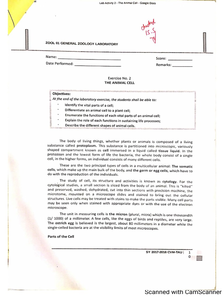 Lab 2 | PDF
