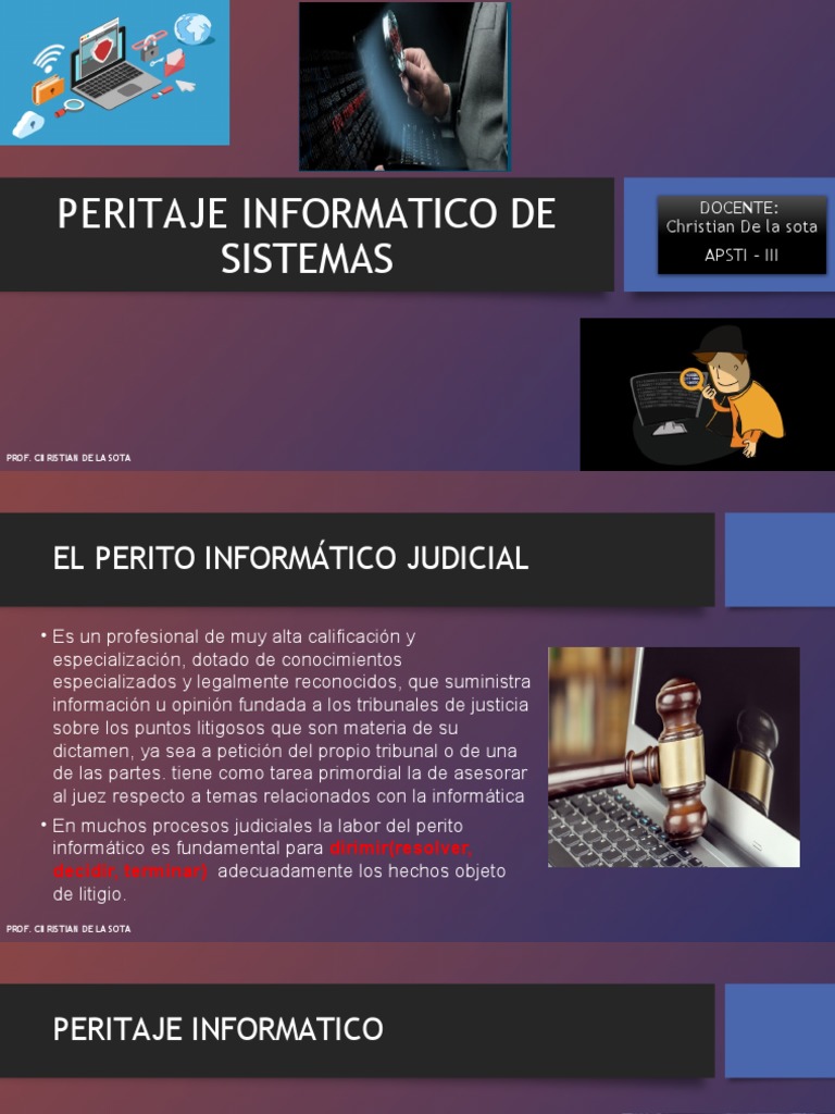Peritaje Informatico | PDF | Cibercrimen | Testigo experto
