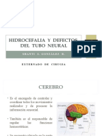 Hidrocefalia y Defectos Del Tubo Neural