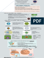 Vectores Virales-Infografía