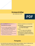 Arenaviridae JEN 2023