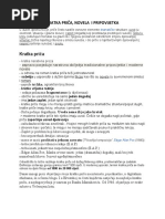Književnost Kroz Povijest - Asd | PDF