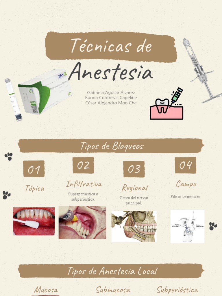 Técnicas de Anestesia Dental | PDF | Odontología | Cara
