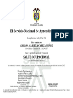 El Servicio Nacional de Aprendizaje SENA: Salud Ocupacional