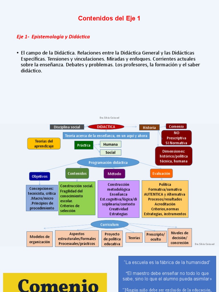 Didáctica: Enfoques y Especificidades | PDF | Enseñando | Plan de estudios