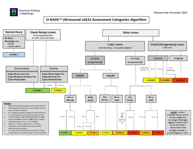 O-RADS US v2022 Assessment Categories Algorithm | PDF | Mammal Female ...