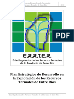 Informe Final Plan Estrategico TERMAS 2010