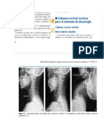 EJERCICIOS FISIO