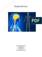 Estructura Del SN