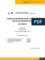 Examen Final - Derecho Internacional Publico