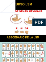 Curso de LSM UNIDAD 1