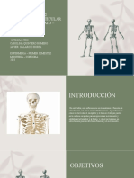 Seminario de Profundización 2 - Sistema Osteoarticular (Humero - Clavicula y Omoplaton