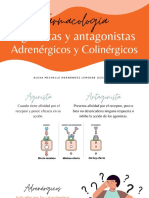Agonistas y Antagonistas Adrenergicos y Colinergicos