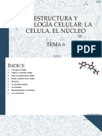 TEMA 6 - La Celula y El Nucleo
