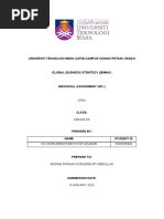 Individual Assignment Ibm641