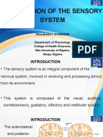 Examination of Sensory System 300L MBBS