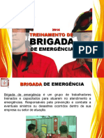 Treinamento de Brigadas 2020