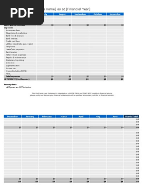 Profit and Loss Statement Template xls
