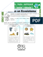 Ficha de Que Es Un Ecosistema para Tercero de Primaria