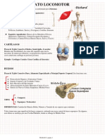 Aparato Locomotor - Richard