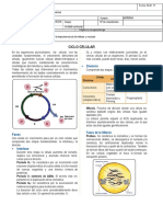 Guia de Laboratorio 11