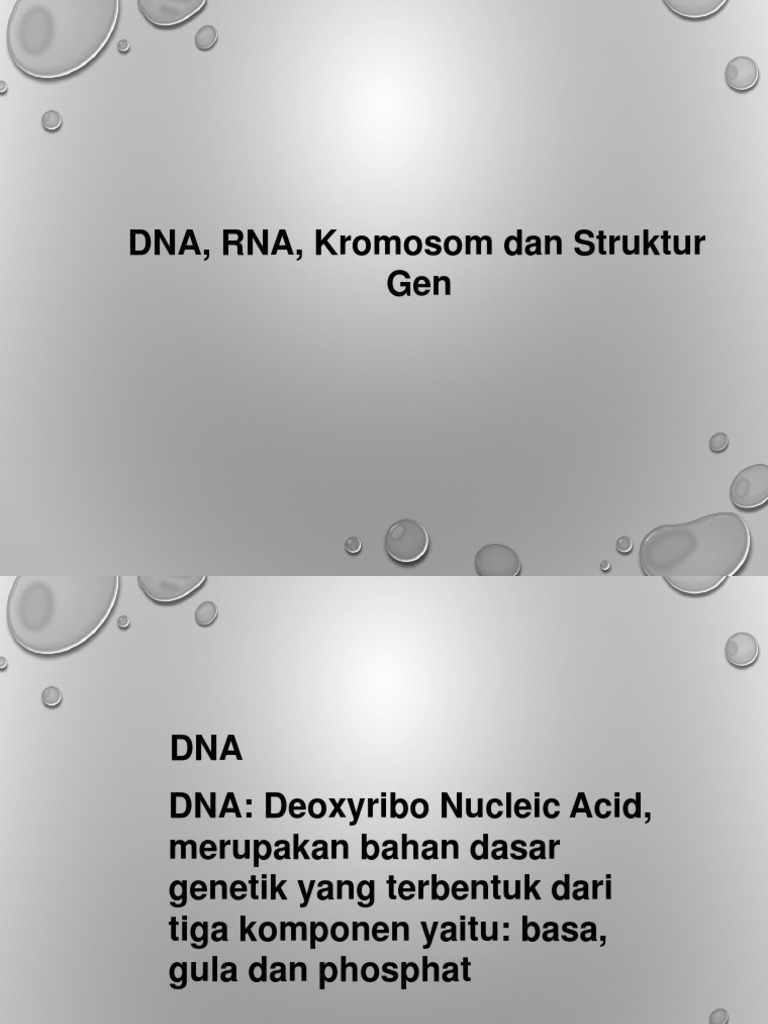 DNA, RNA, Kromosom | PDF