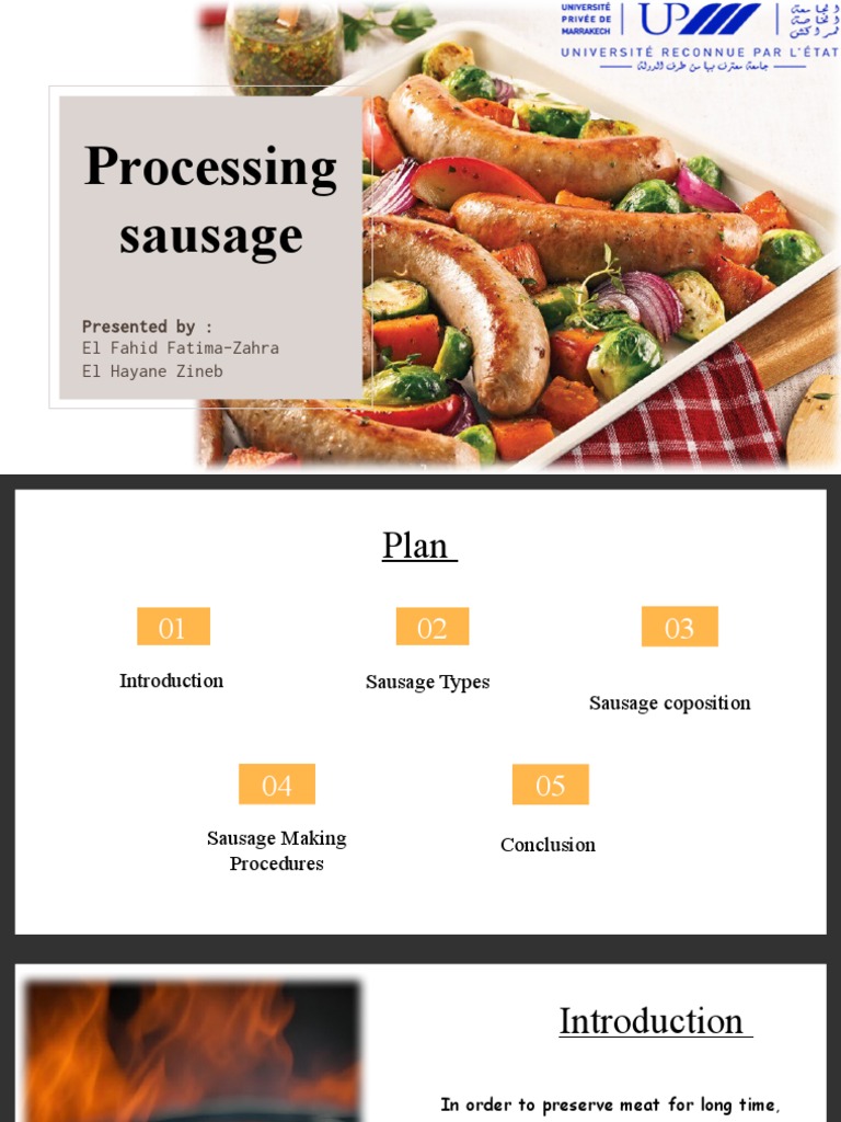 Processing Sausage PDF Sausage Curing (Food Preservation)