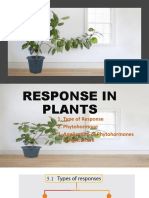F5 Chapter 5 Response in Plants
