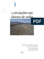 Informe Lixiviacion