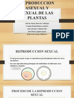 Reproduccion Asexual y Sexual de Las Plantas