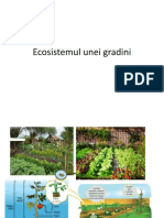 Ecosistemul Unei Gradini