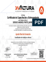 Certificado SERGIO ANDRES PINTOJAIMES