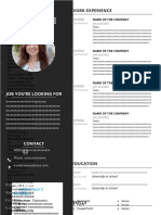 104 Executive Resume Sample 97 2003