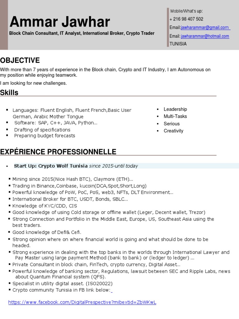 Blockchain & IT Expert Profile | PDF | Cryptocurrency | Bitcoin