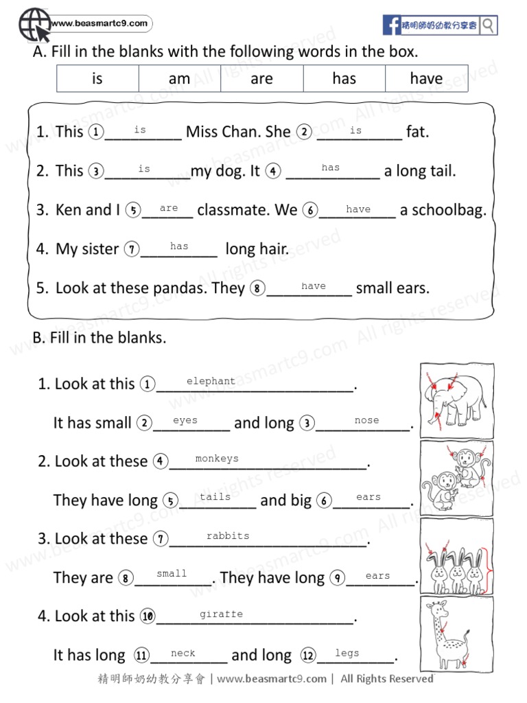 P1 Term 1 English Mock Test 2 Answer Pdf