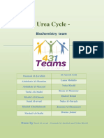 Biochemistry Team Urea Cycle (1st Edition)