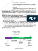 Etapa Intermedia Resumen