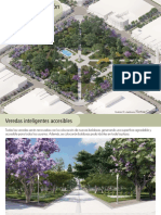 Proyecto Reforestacion Plaza San Martín