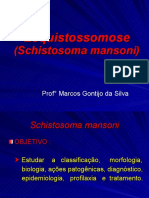 Aula8 Schistosomamansoni2007ok 090622183312 Phpapp02