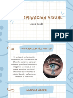 Contaminación Visual