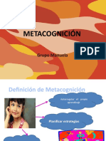 Metacognición: Grupo Manuela