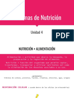 Introduccion Sistemas de Nutricion II Nutrientes Sistema Digestivo